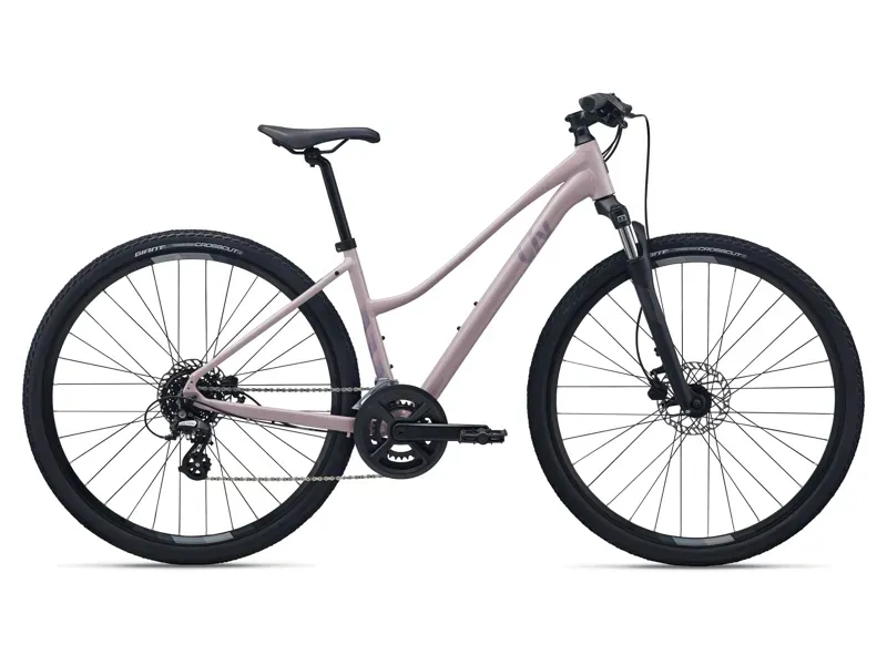 Liv Rove 4 Stagger Step-Thru Gravel Bike in Rosy Brown
