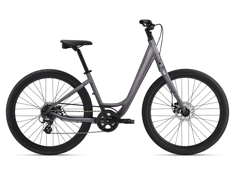 Momentum Vida Low-Step eBike in Early Espresso