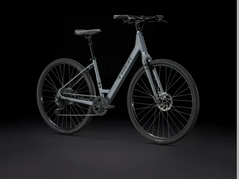 Trek Verve 2 Lowstep Gen 5 in Galactic Gray-1
